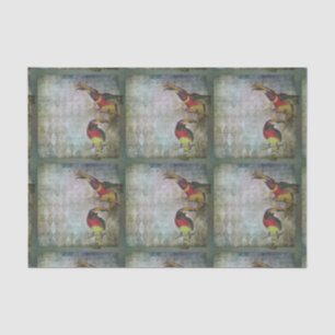 Tropical Toucan Tissue Paper