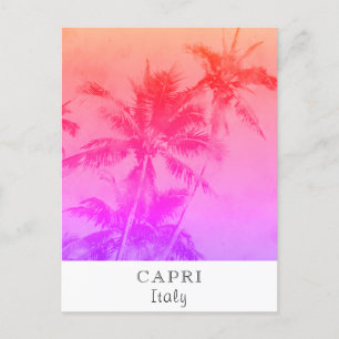 *~* Tropical Travel - AP25 Personalize  Palm Leaf Postcard