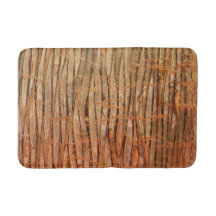 Tropical Tree Bark Nature Photo