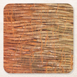 Tropical Tree Bark Nature Photo Square Paper Coaster
