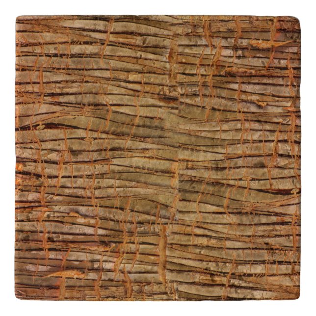 Tropical Tree Bark Nature Photo Trivet (Front)