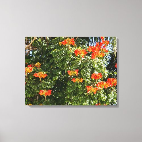 Tropical Tree  Orange Flowers Canvas Print