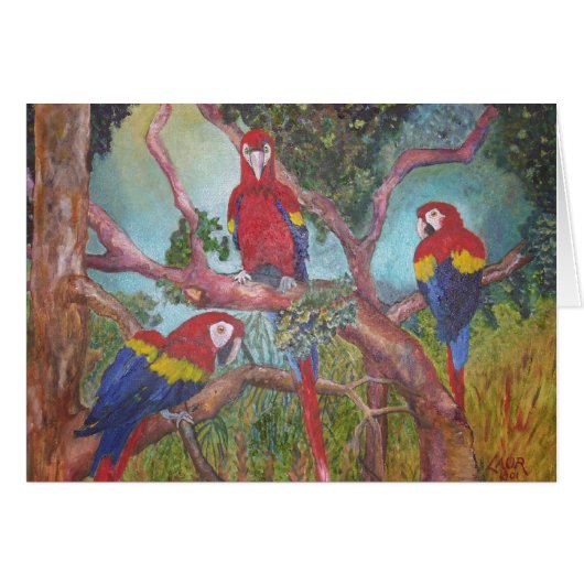 Tropical Trio Cards (Front Horizontal)