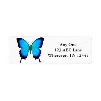 Tropical Ulysses Butterfly Label