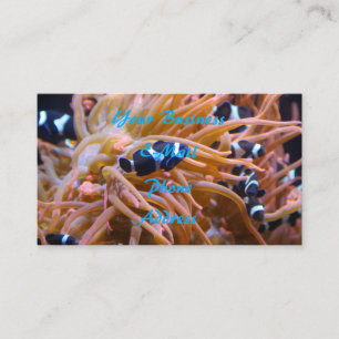 Tropical Undersea Clownfish Anemone Business Card