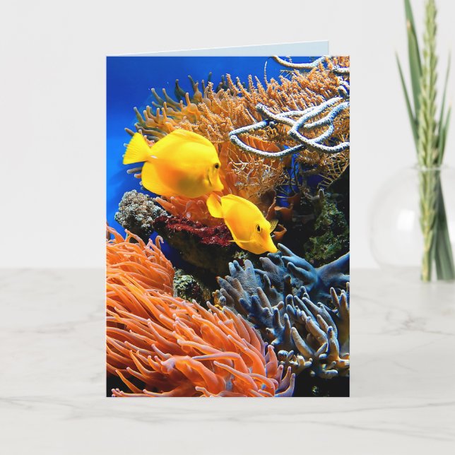 Tropical Undersea Coral Card (Front)