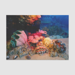 Tropical Undersea Coral Clam Seashells Tissue Paper