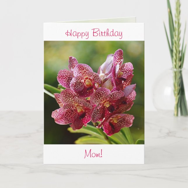 Tropical Vanda Orchid Birthday Card (Front)