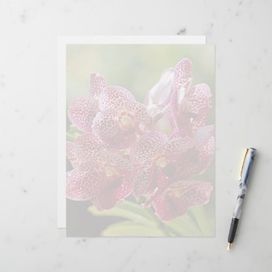 Tropical Vanda Orchid Cluster (Front/Back In Situ)