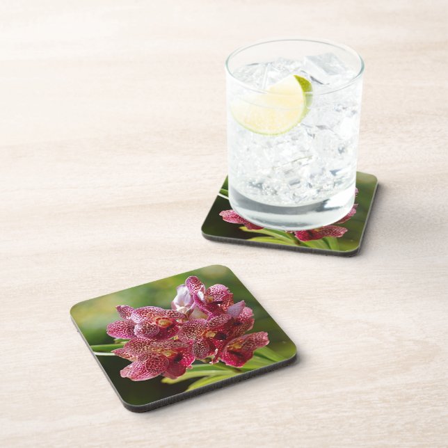 Tropical Vanda Orchid Cluster Beverage Coaster (Right Side)