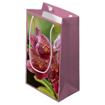 Tropical Vanda Orchid Cluster Birthday Gift Bag