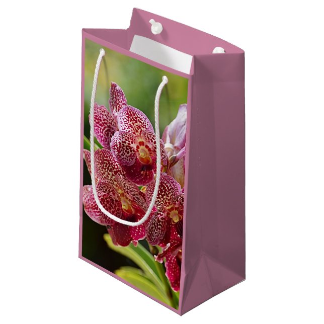 Tropical Vanda Orchid Cluster Birthday Gift Bag (Front Angled)