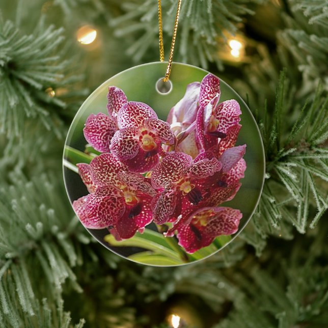 Tropical Vanda Orchid Cluster Ceramic Ornament (Tree)