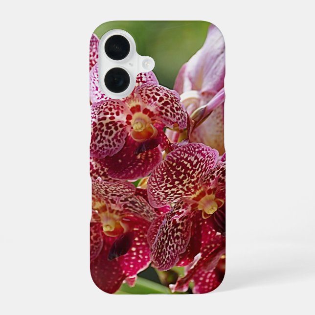 Tropical Vanda Orchid Cluster iPhone Case (Back)