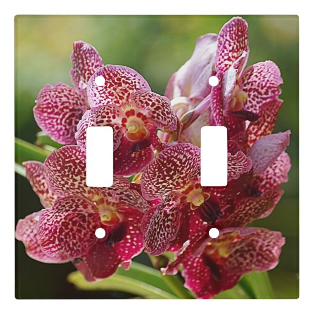 Tropical Vanda Orchid Cluster Light Switch Cover (Front)