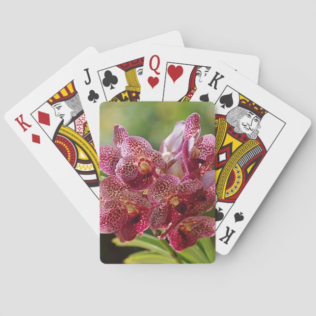 Tropical Vanda Orchid Cluster Poker Cards (Back)