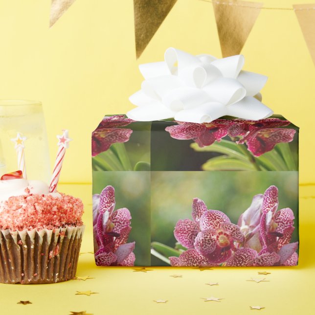 Tropical Vanda Orchid Cluster Wrapping Paper (Birthday Party)