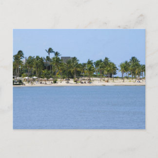 Tropical view postcard