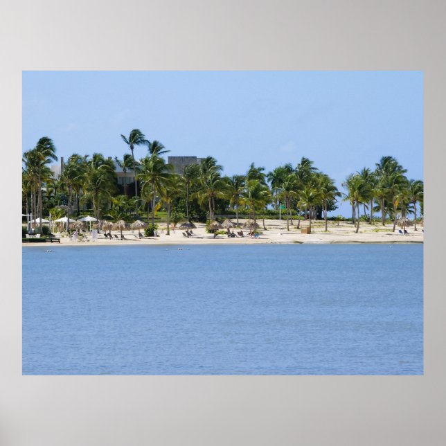 Tropical view poster (Front)