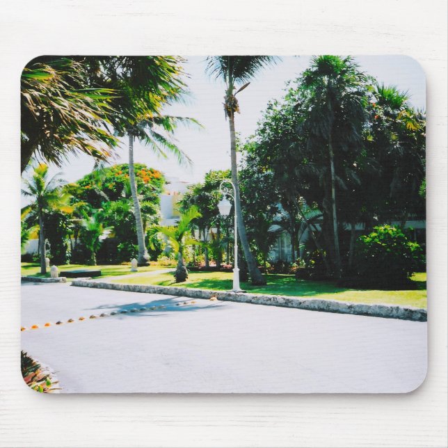 tropical viewpoint mousepad (Front)