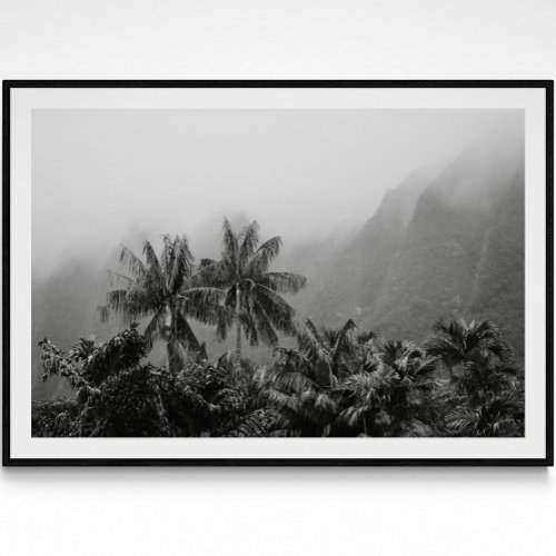 Tropical Vintage Palms Photography Print 