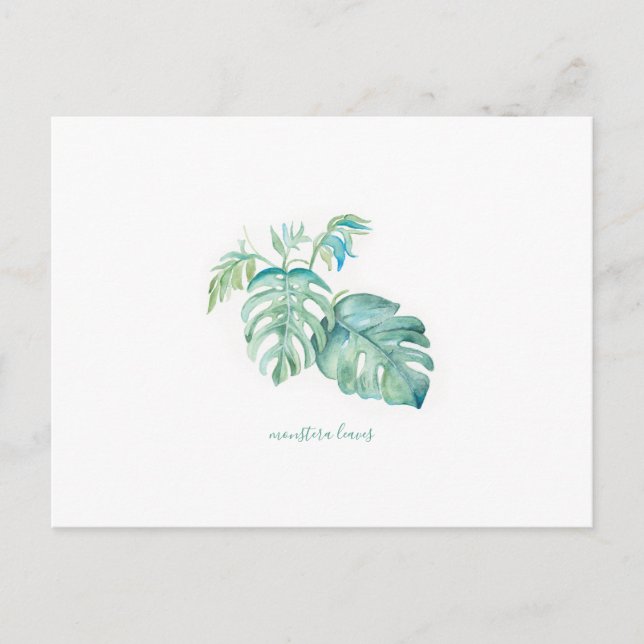 Tropical Watercolor Monstera Leaves Holiday Postcard (Front)