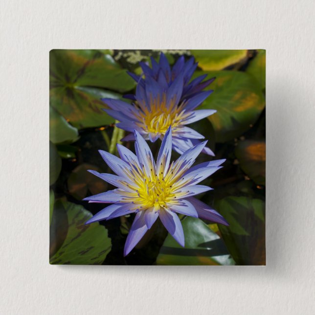 Tropical Waterlily Floral Botanical Design Pinback Button (Front)