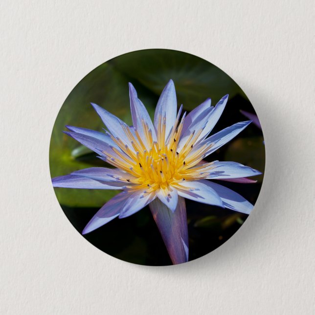 Tropical Waterlily Floral Botanical Design Pinback Button (Front)