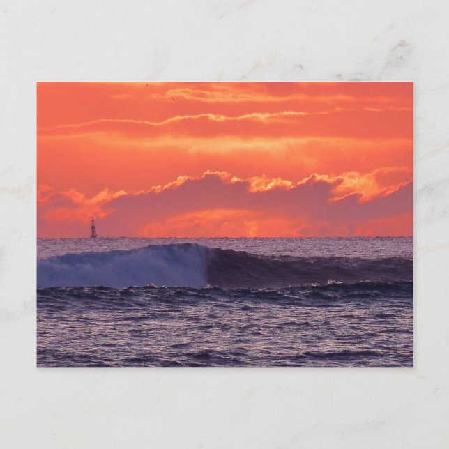 Tropical waves postcard (Front)