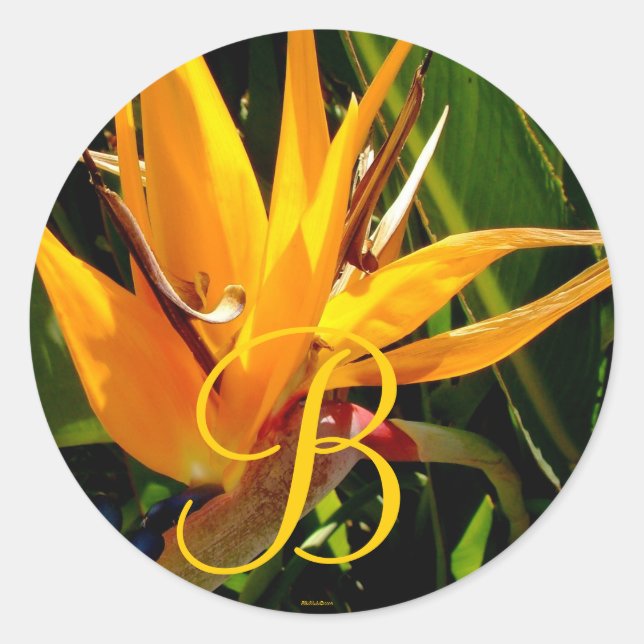 Tropical Wedding Bird of Paradise Monogram B Seal (Front)