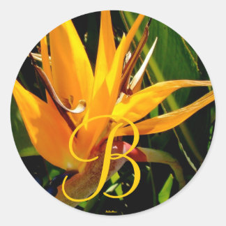 Tropical Wedding Bird of Paradise Monogram B Seal