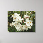 Tropical White Begonia Floral Canvas Print