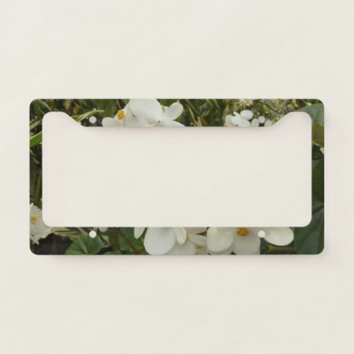 Tropical White Begonia Floral License Plate Frame