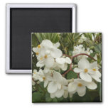 Tropical White Begonia Floral Magnet