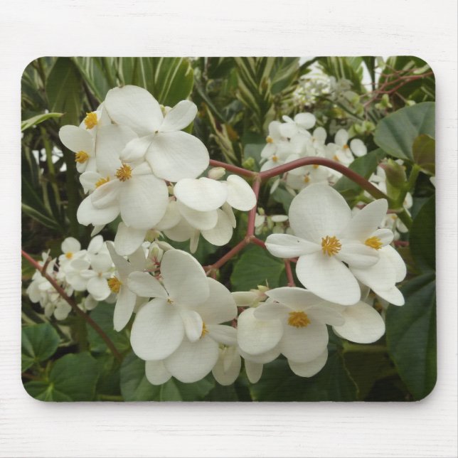 Tropical White Begonia Floral Mouse Pad (Front)