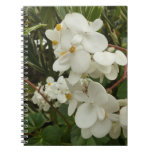 Tropical White Begonia Floral Notebook