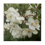 Tropical White Begonia Floral Tile