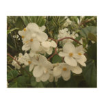 Tropical White Begonia Floral Wood Wall Art