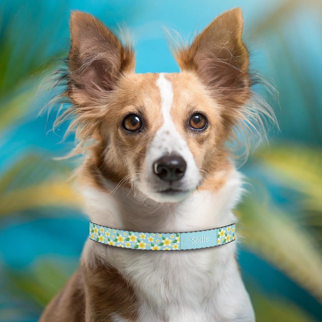 Tropical White Frangipani Flowers & Custom Name Pet Collar (Please note: This image is a digital mockup. The product may not be in scale.)