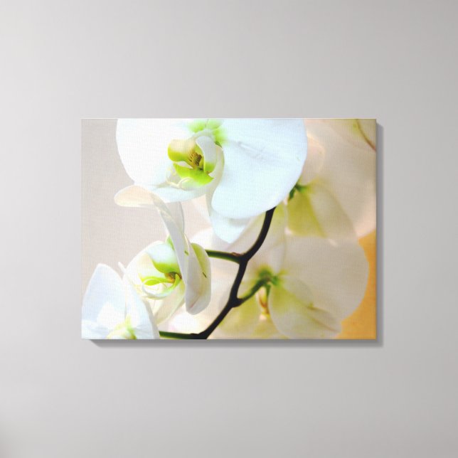 Tropical White Orchids Number Two Wrapped Canvas Print (Front)