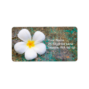 Tropical White Plumeria Flower Frangipani Label