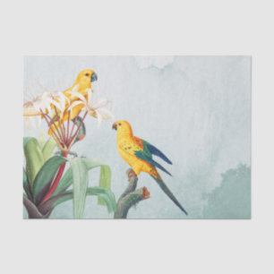 Tropical Yellow Parrots Floral Tissue Paper