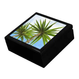 Tropical Yucca Palm Leaves Painting Effect Photo Gift Box