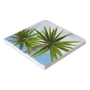 Tropical Yucca Palm Leaves Painting Effect Photo Trivet