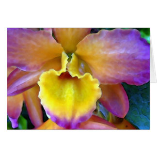 Tropicana Orchid Cards