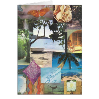 Tropics Cards