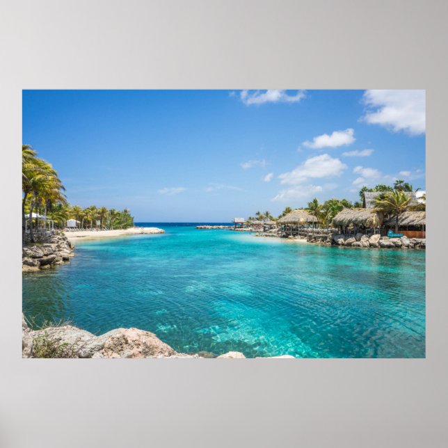 Tropics Poster (Front)