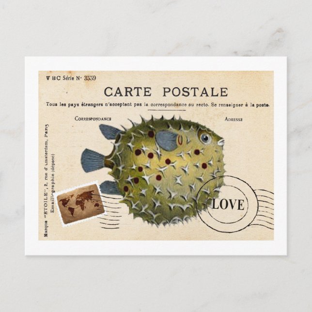 Tropival Vintage Fish Love Postcard (Front)