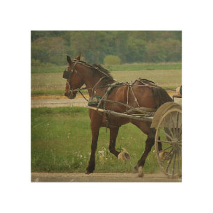 Trot On, An Amish Horse Wood Wall Art
