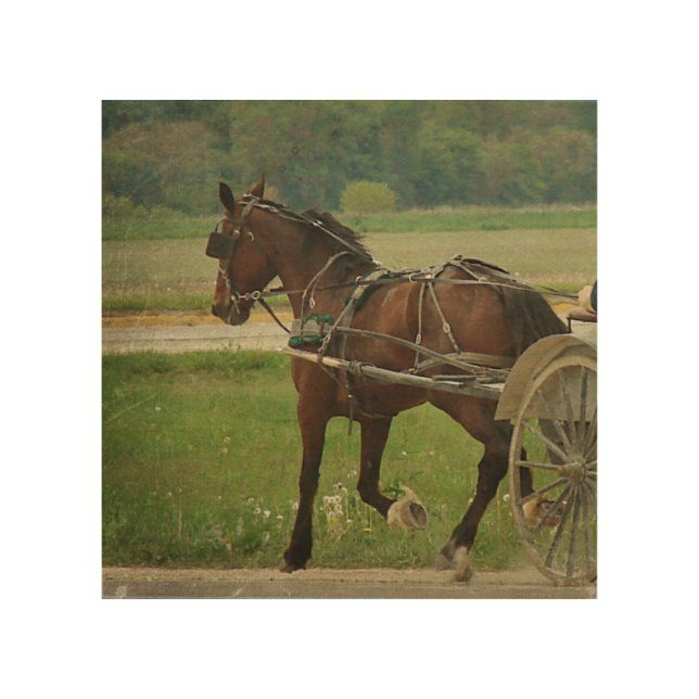 Trot On, An Amish Horse Wood Wall Art (Front)